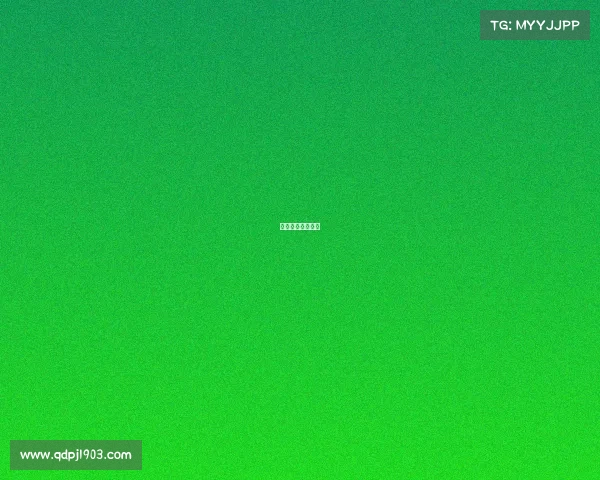 自由搏击国际比赛